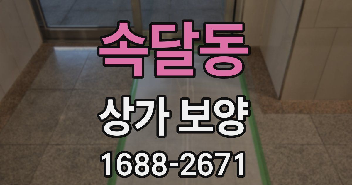 속달동 상가 보양