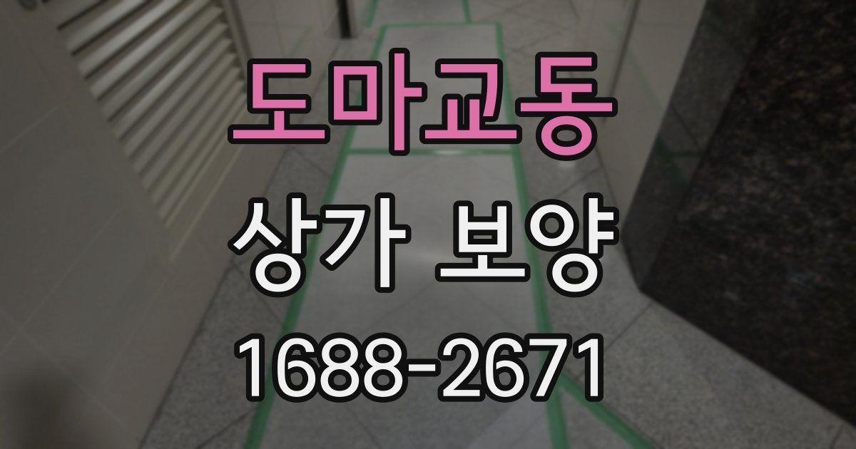도마교동 상가 보양