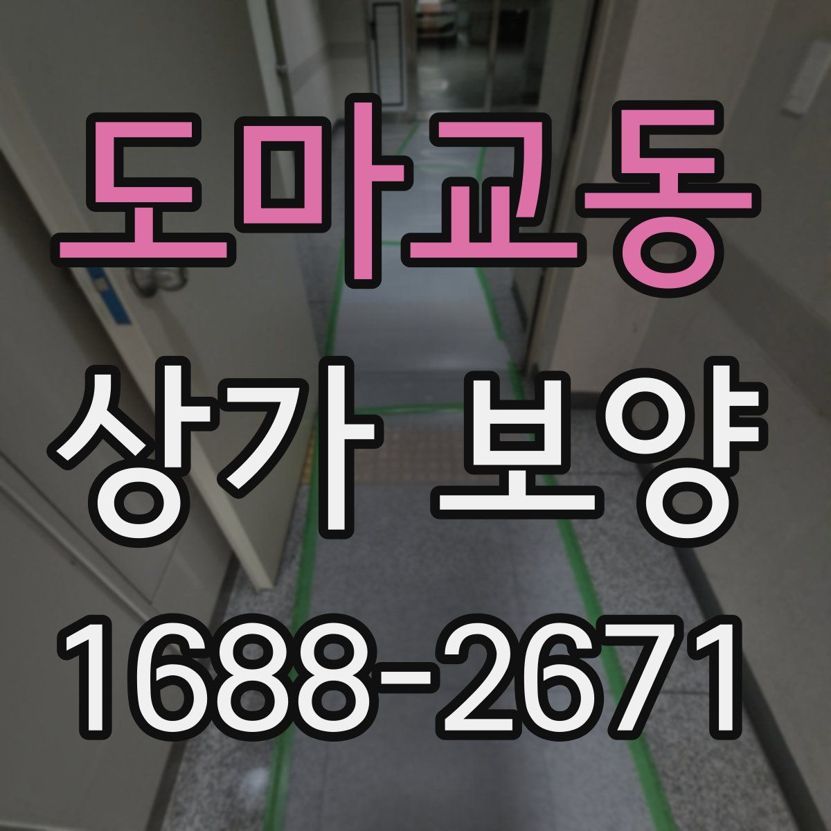 도마교동 상가 보양