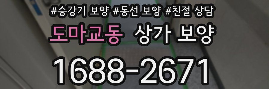 도마교동 상가 보양