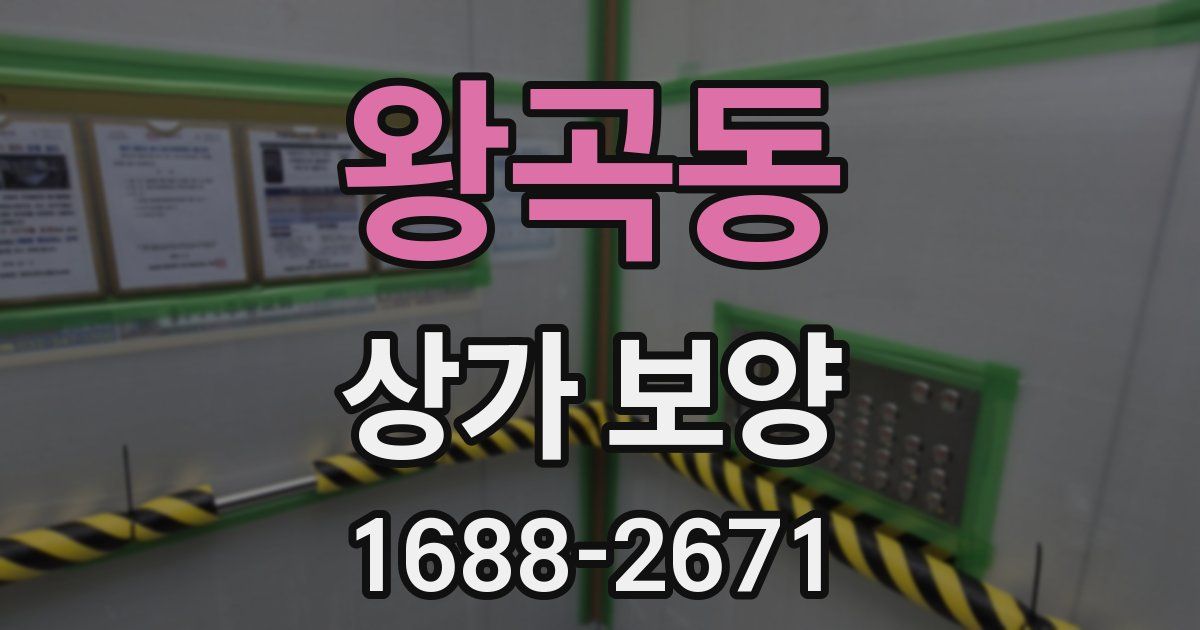 왕곡동 상가 보양