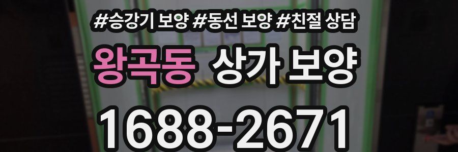 왕곡동 상가 보양