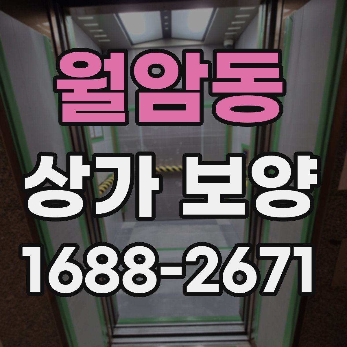 월암동 상가 보양