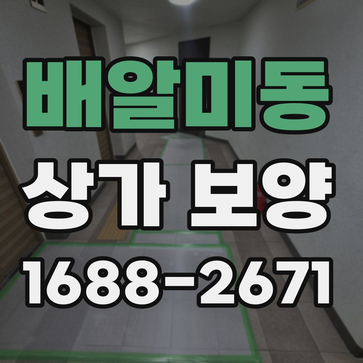 배알미동 상가 보양