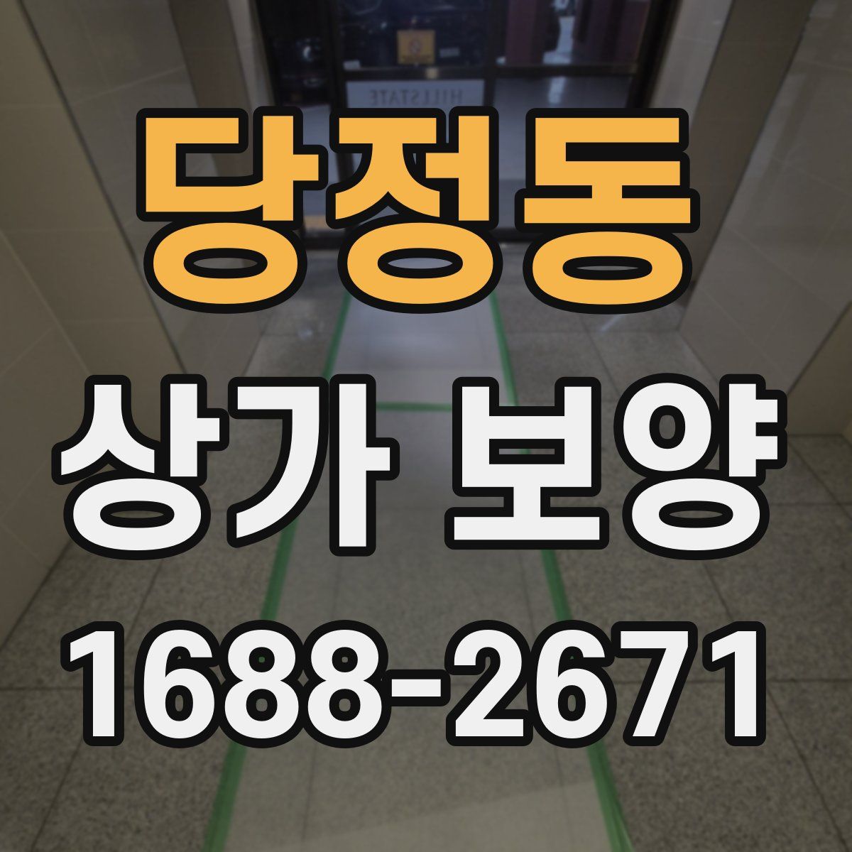 당정동 상가 보양
