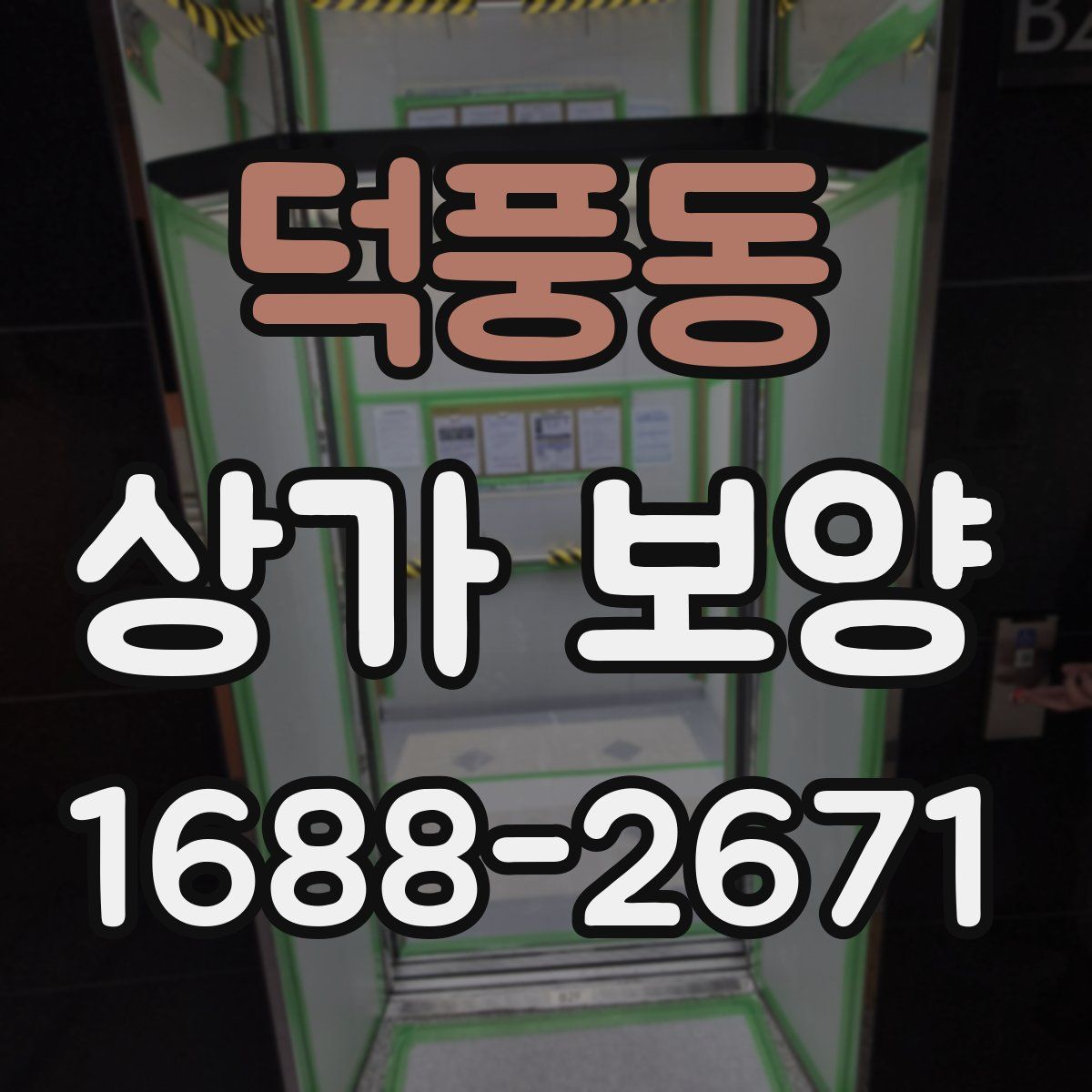 덕풍동 상가 보양