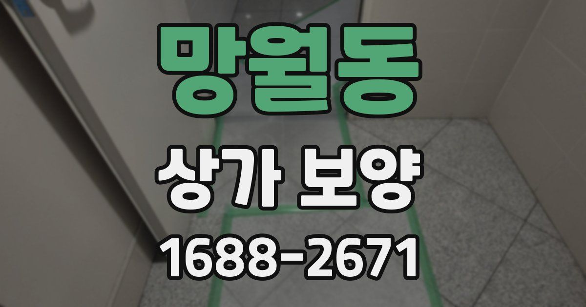망월동 상가 보양