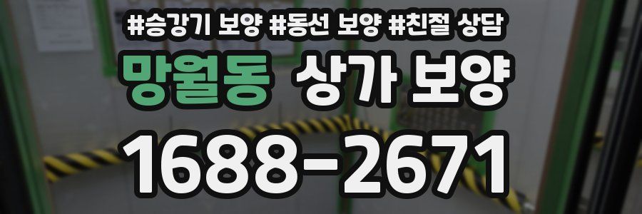 망월동 상가 보양