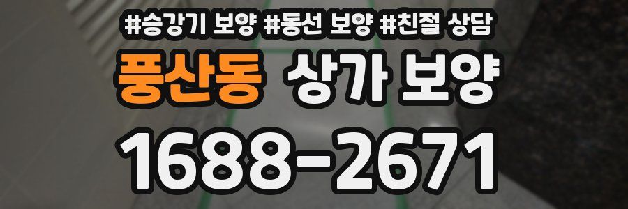 풍산동 상가 보양