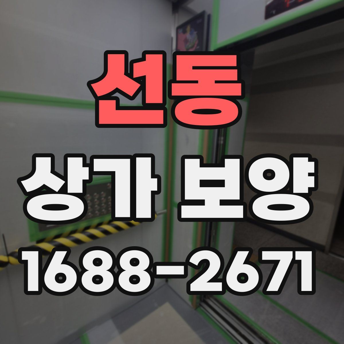 선동 상가 보양