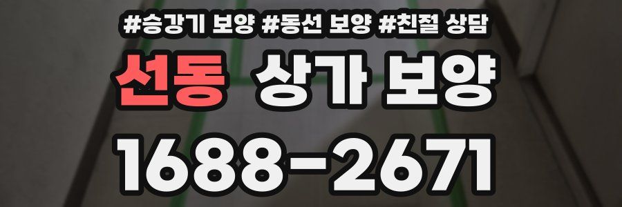 선동 상가 보양