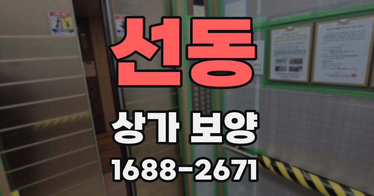 선동 상가 보양
