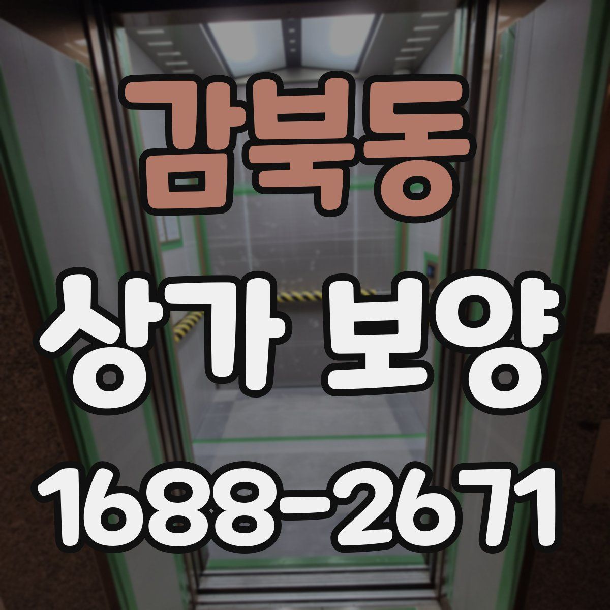 감북동 상가 보양