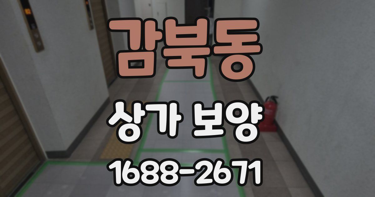 감북동 상가 보양