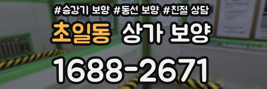 초일동 상가 보양