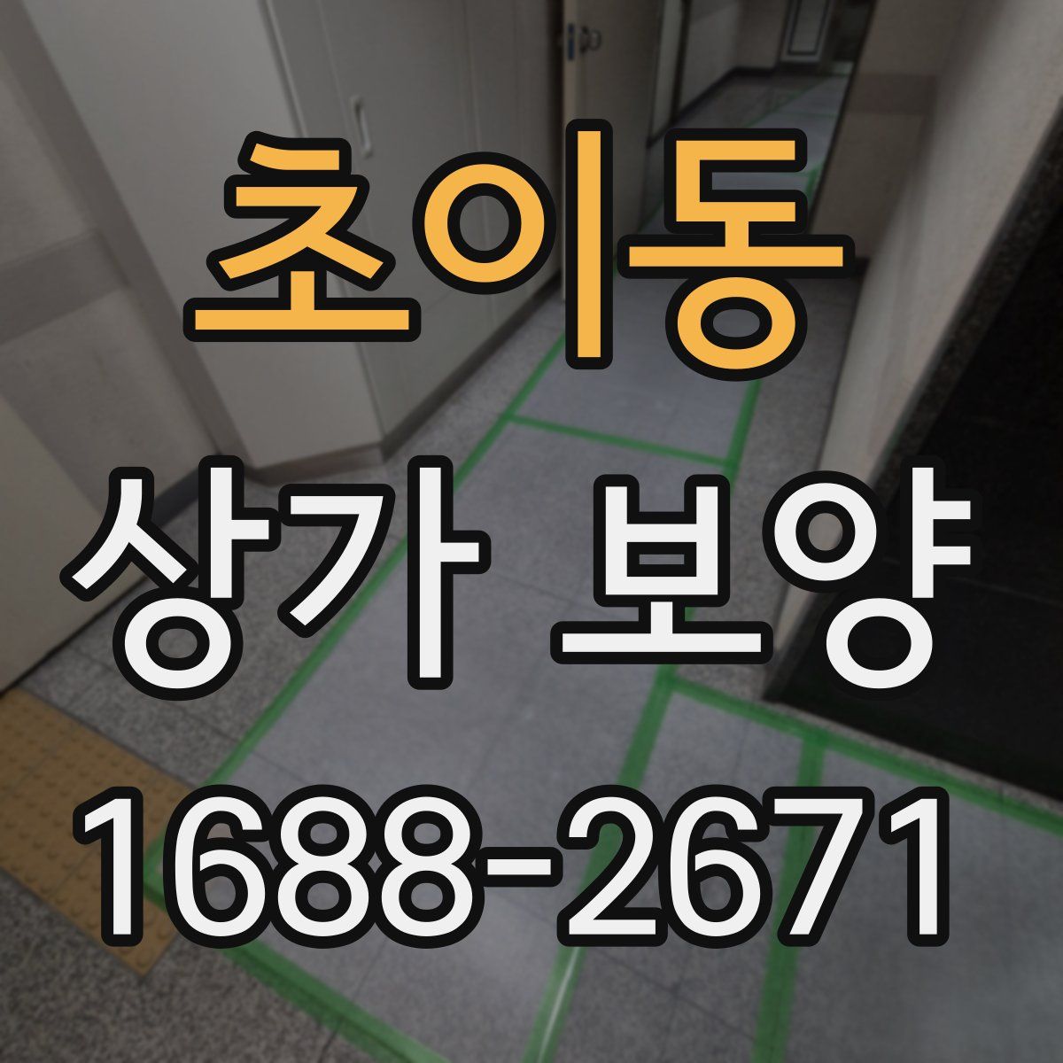초이동 상가 보양