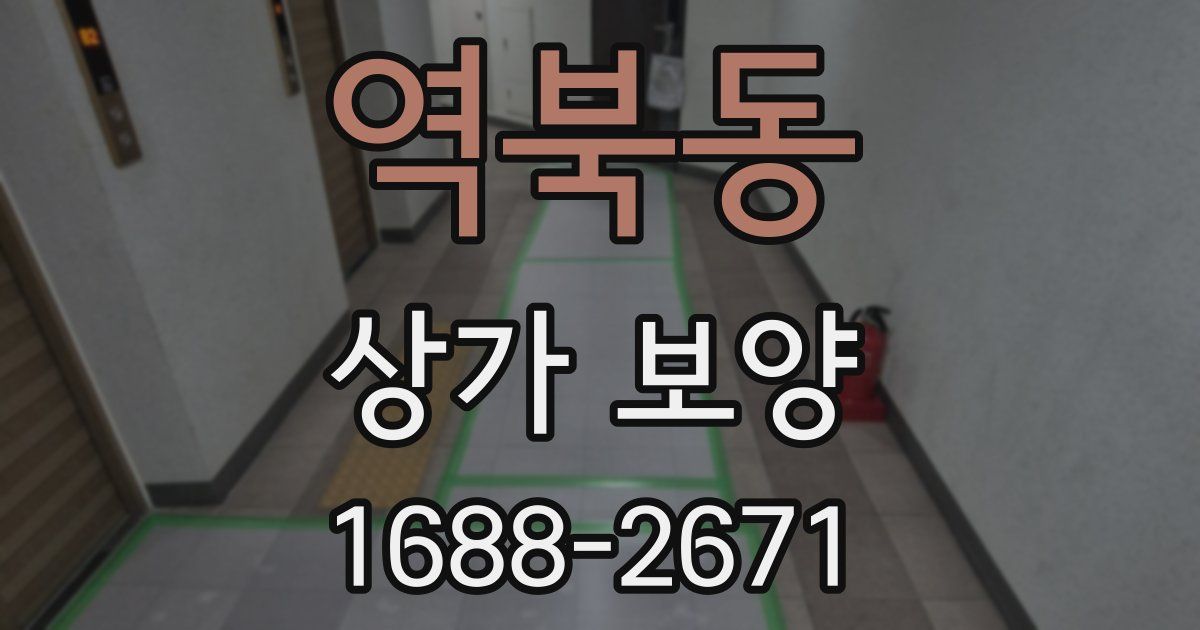역북동 상가 보양