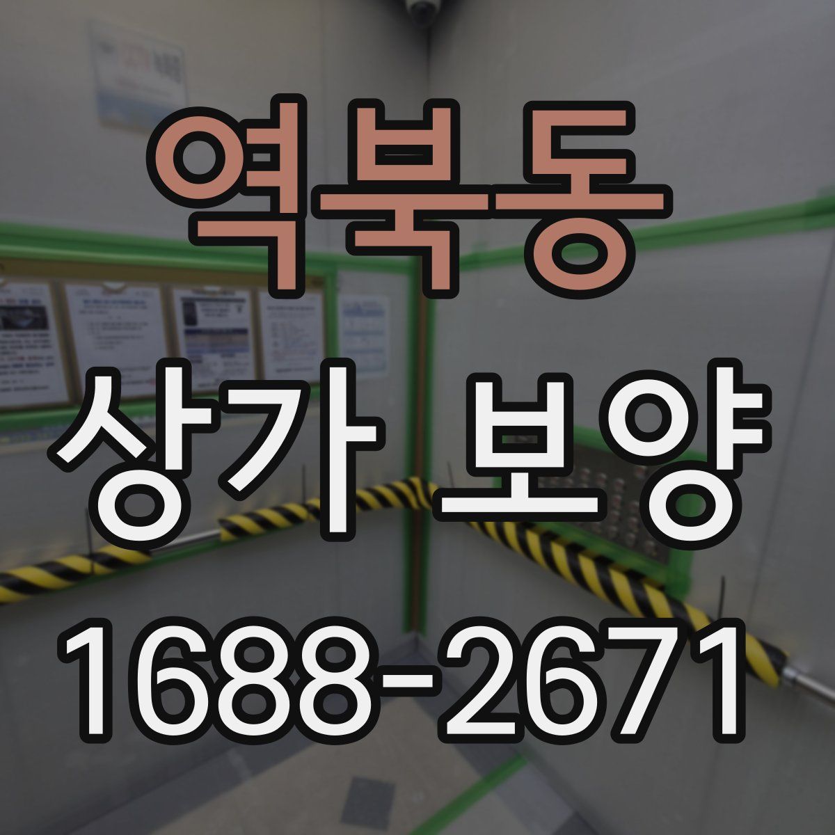 역북동 상가 보양