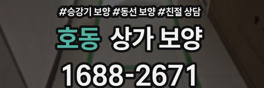 호동 상가 보양