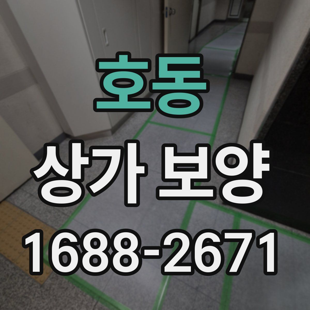 호동 상가 보양