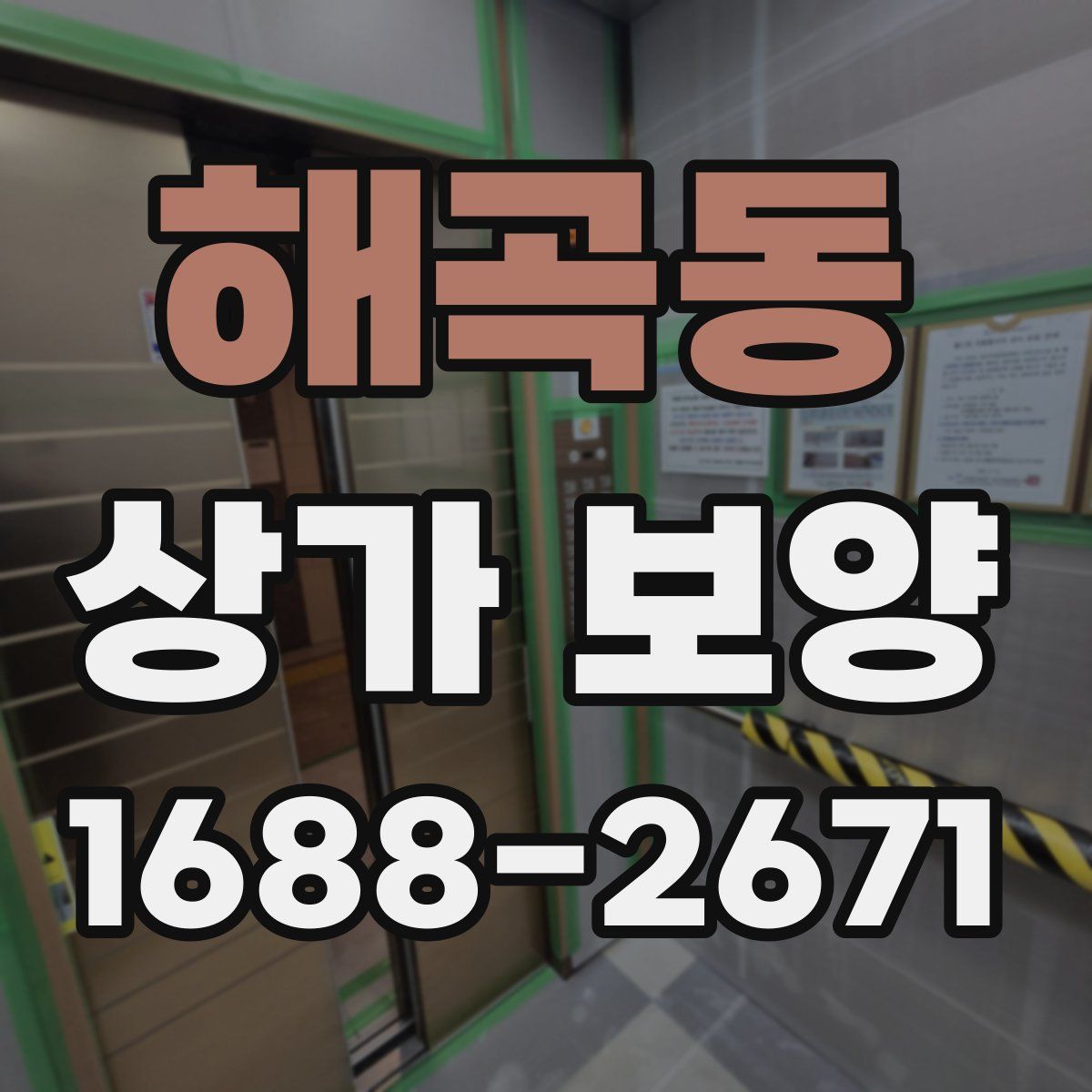 해곡동 상가 보양