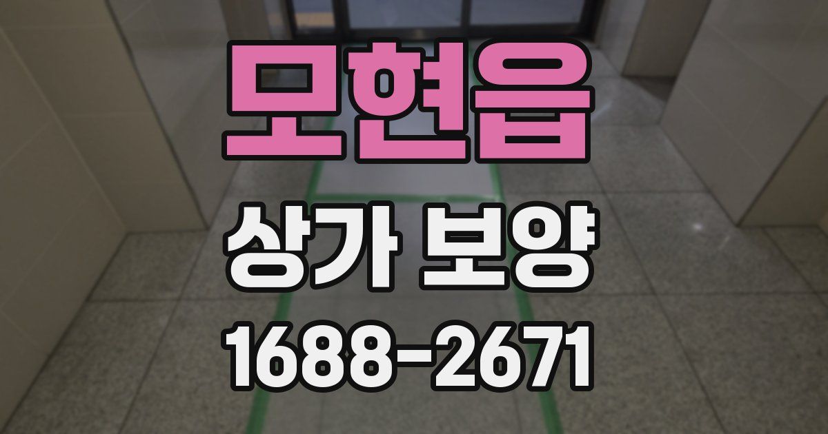 모현읍 상가 보양