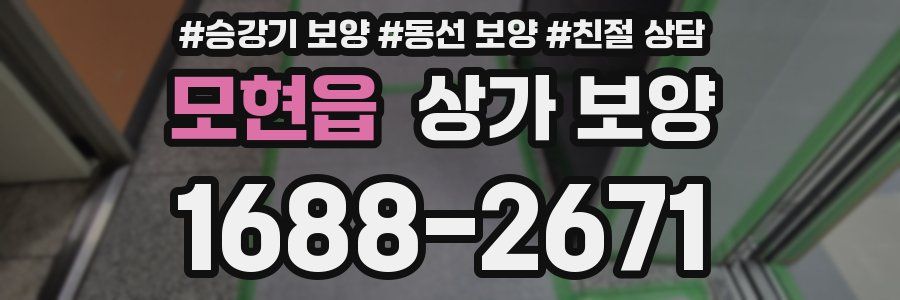 모현읍 상가 보양