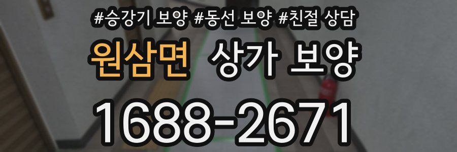 원삼면 상가 보양