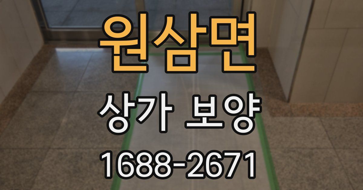 원삼면 상가 보양