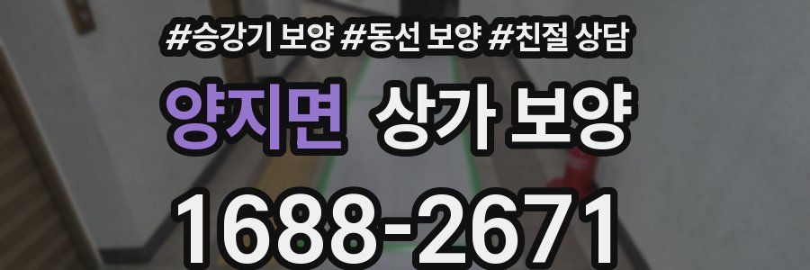 양지면 상가 보양