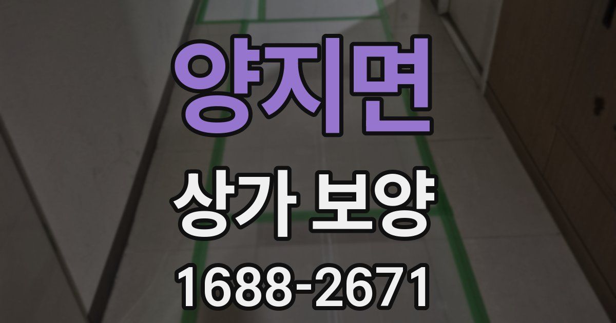 양지면 상가 보양