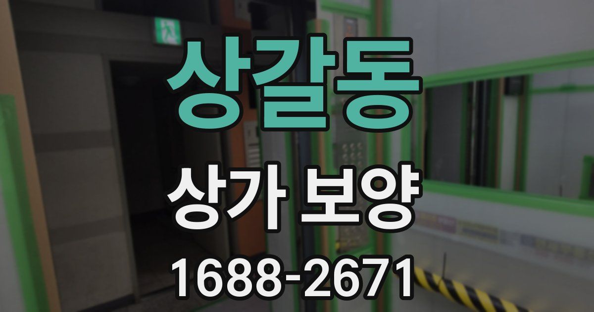 상갈동 상가 보양
