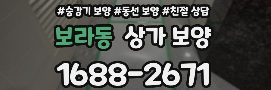 보라동 상가 보양