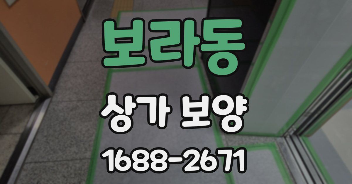 보라동 상가 보양