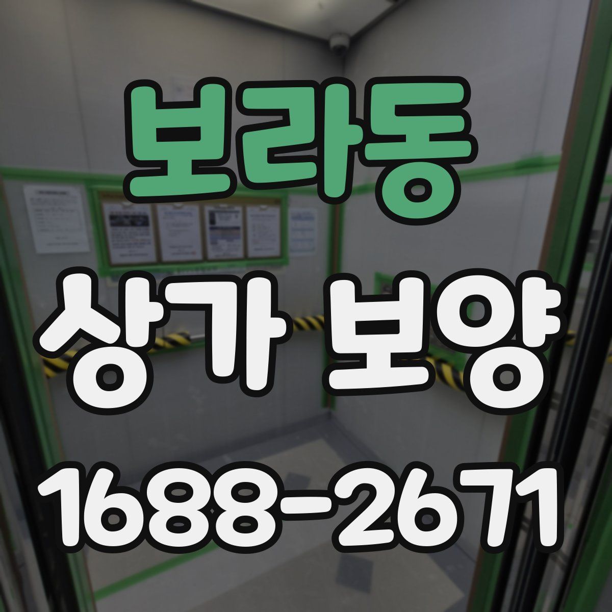 보라동 상가 보양