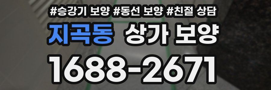 지곡동 상가 보양