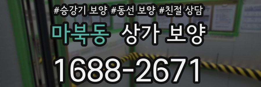 마북동 상가 보양