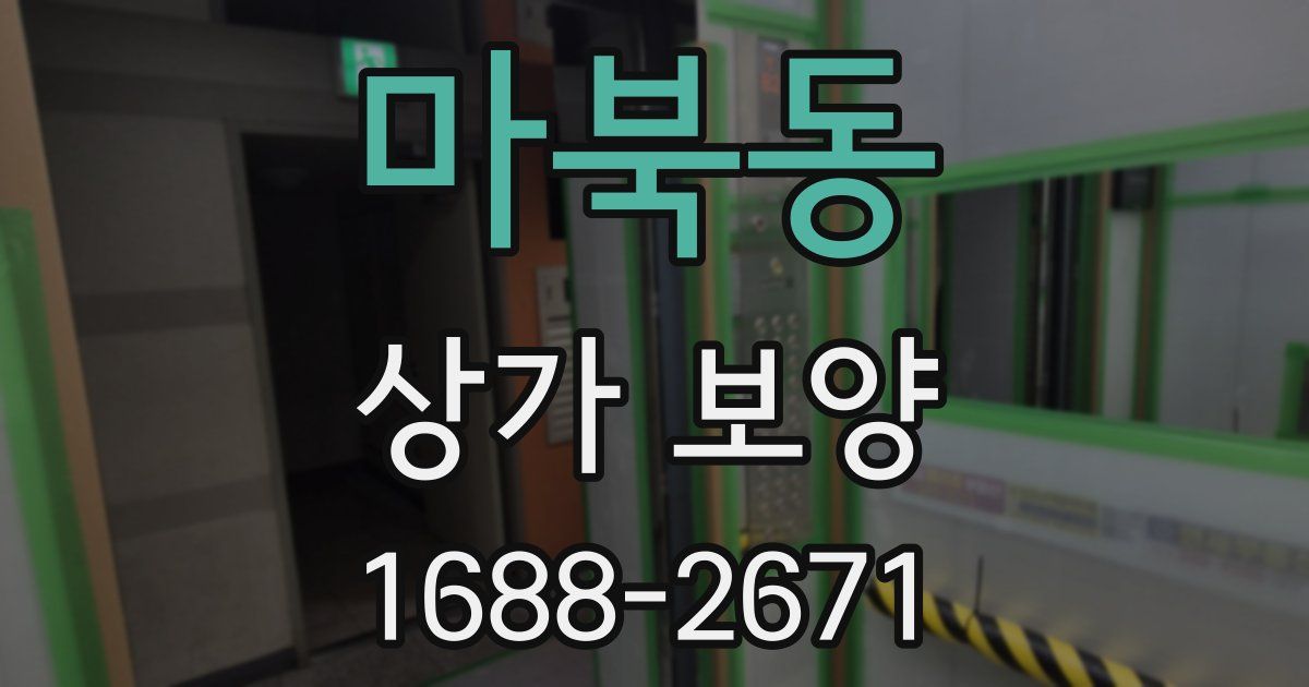 마북동 상가 보양