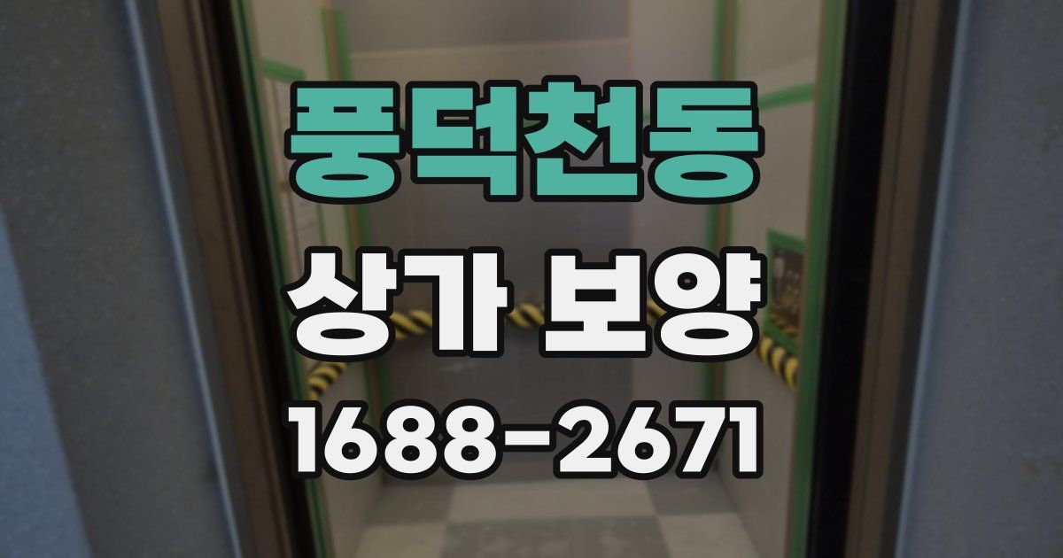풍덕천동 상가 보양