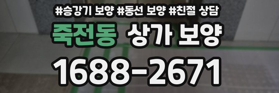 죽전동 상가 보양