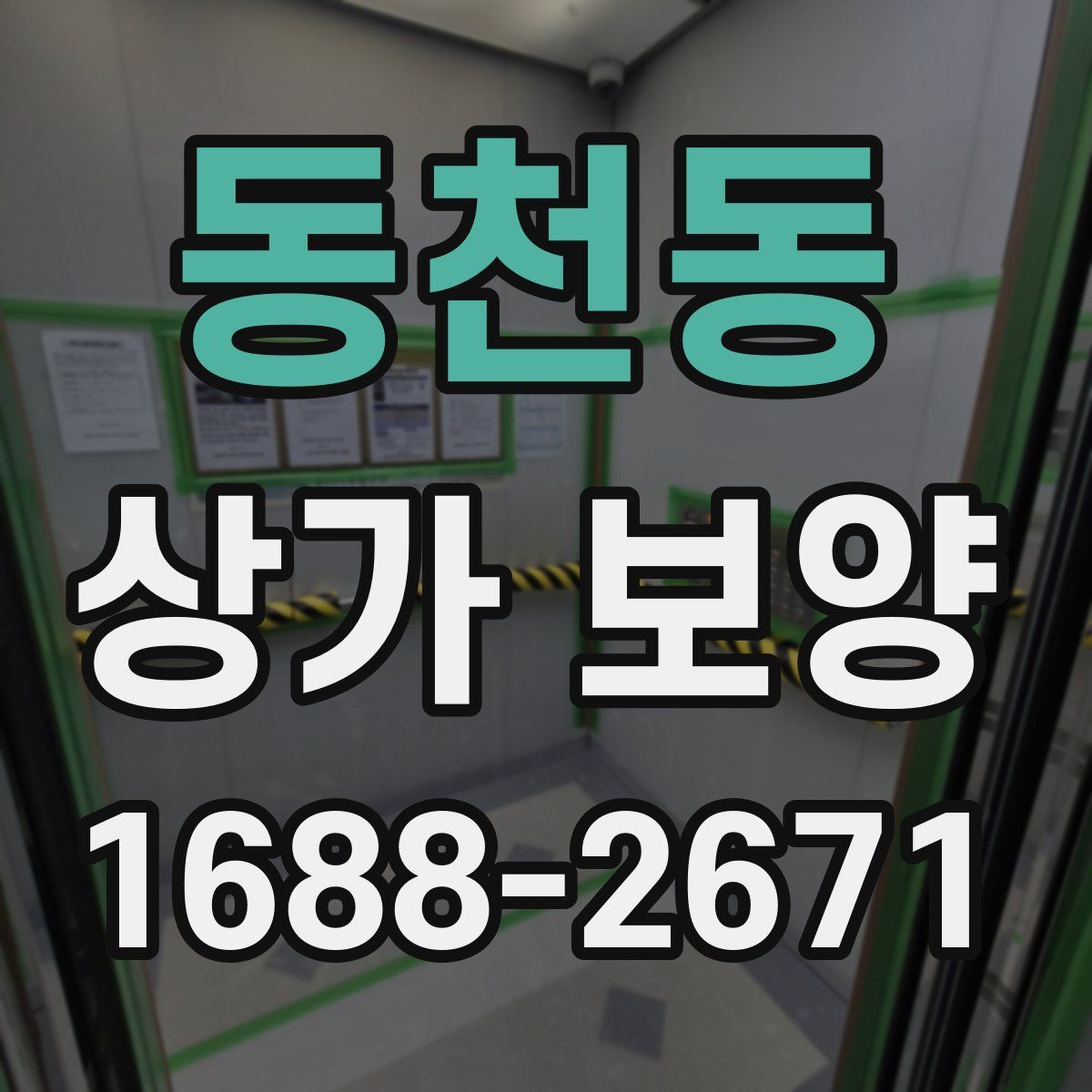 동천동 상가 보양