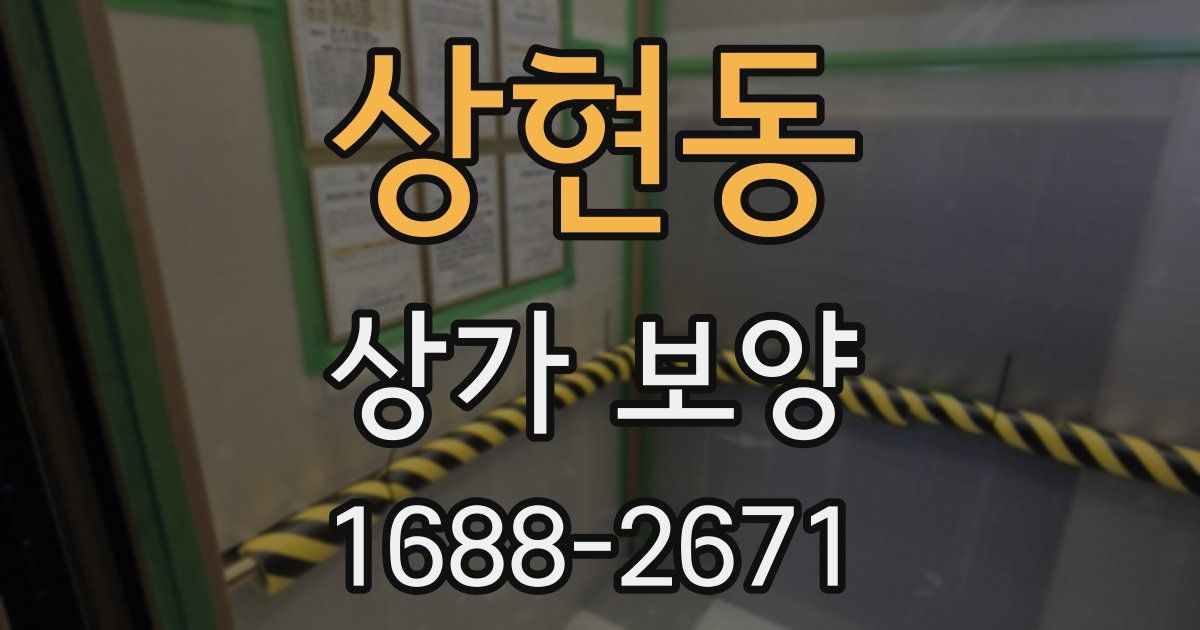 상현동 상가 보양
