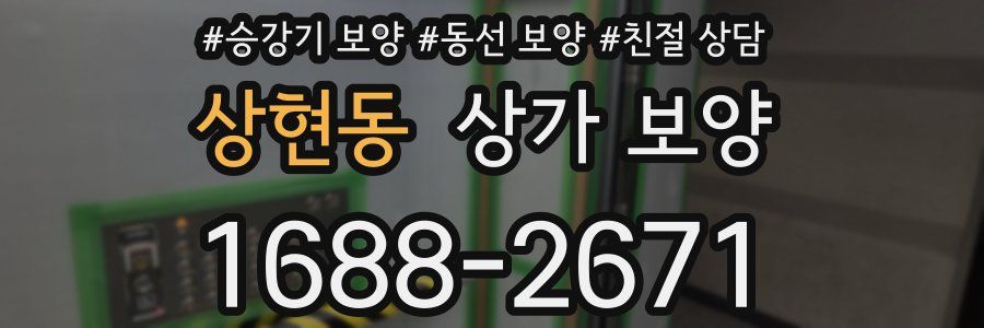 상현동 상가 보양