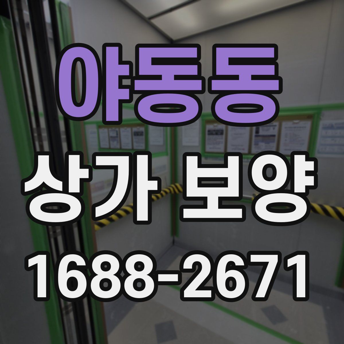 야동동 상가 보양