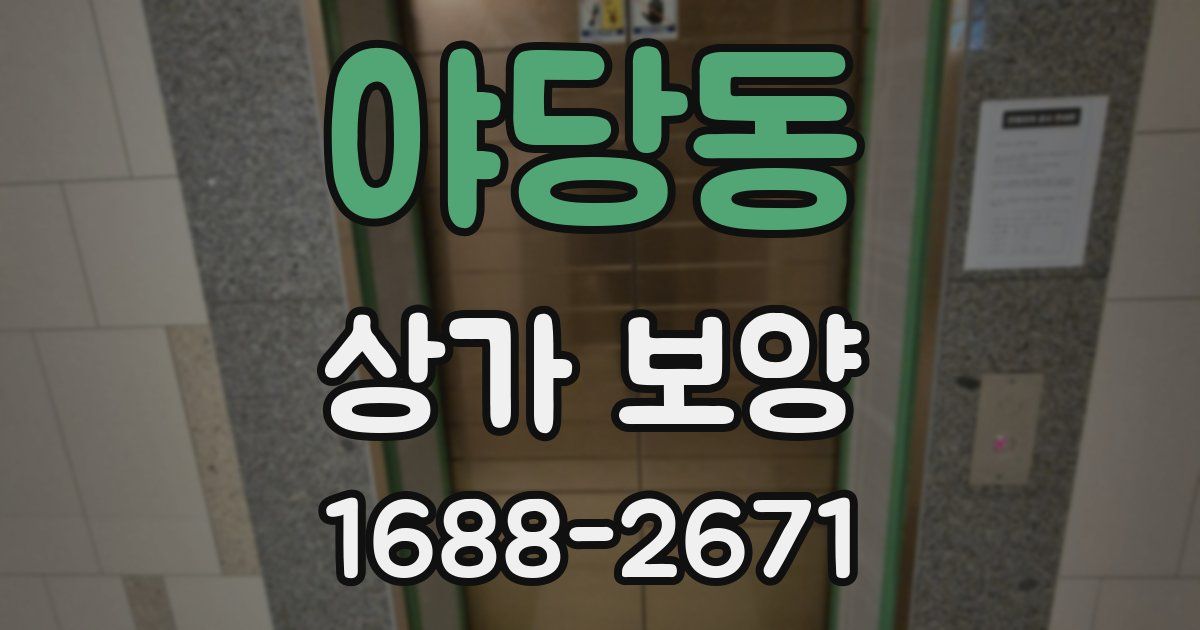 야당동 상가 보양