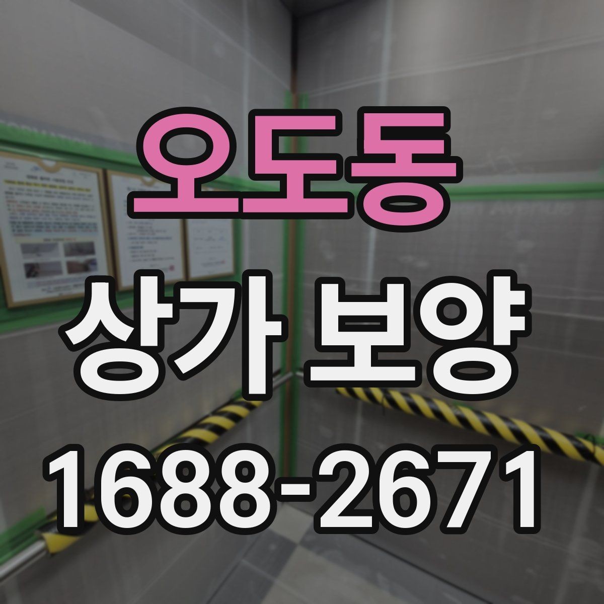 오도동 상가 보양 시 현장별 맞춤 적용 사례