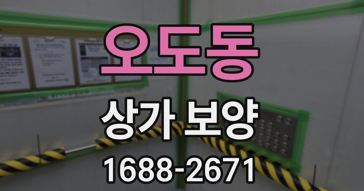 오도동 상가 보양