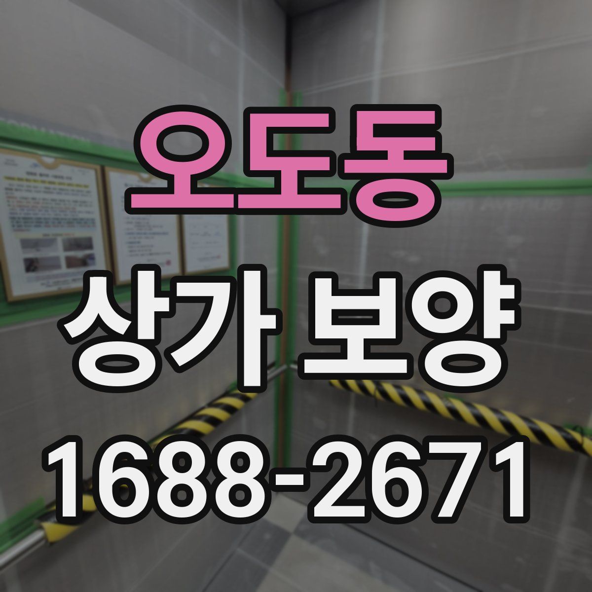 오도동 상가 보양