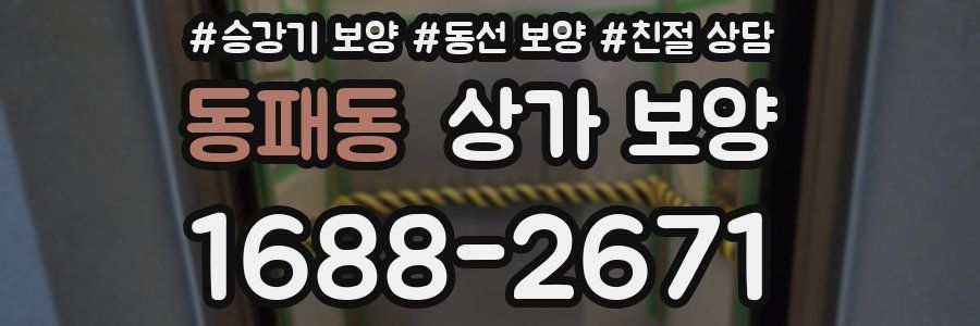 동패동 상가 보양