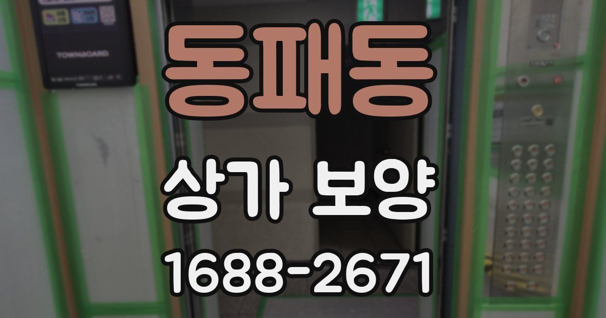 동패동 상가 보양